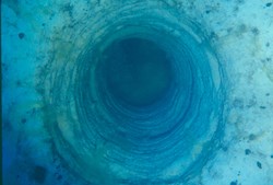 Tunnel in dead aquatic moss in Crater Lake