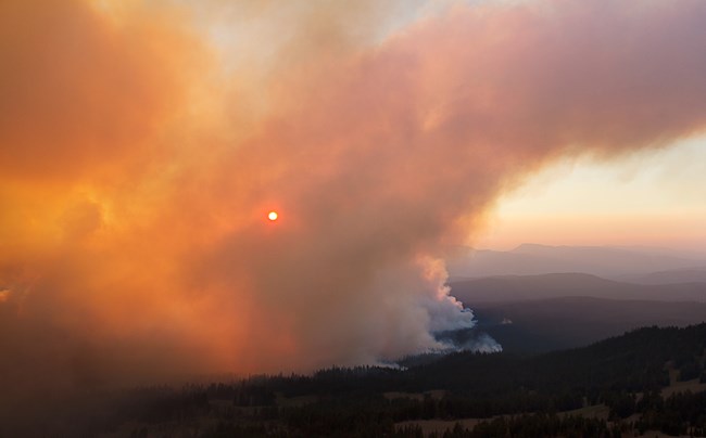 Sunlight moving through a cloud of smoke from the 2017 Spruce Lake fire.