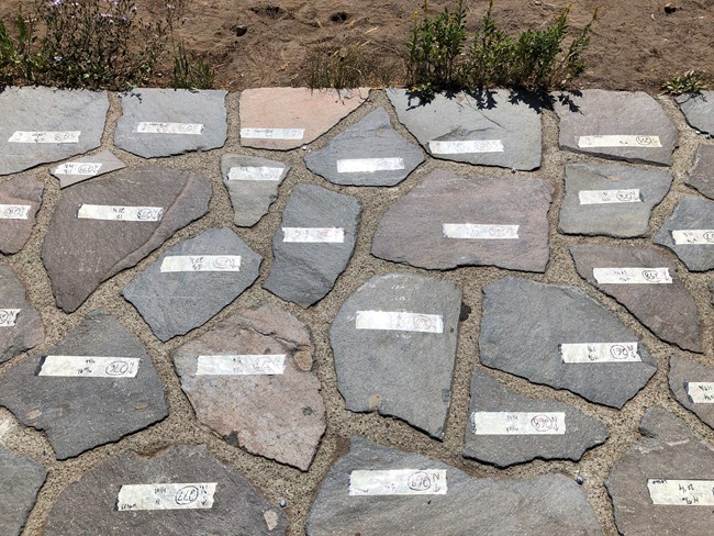 Each native stone of an historic sidewalk has a white label with location info for removal, storage, and replacement during construction