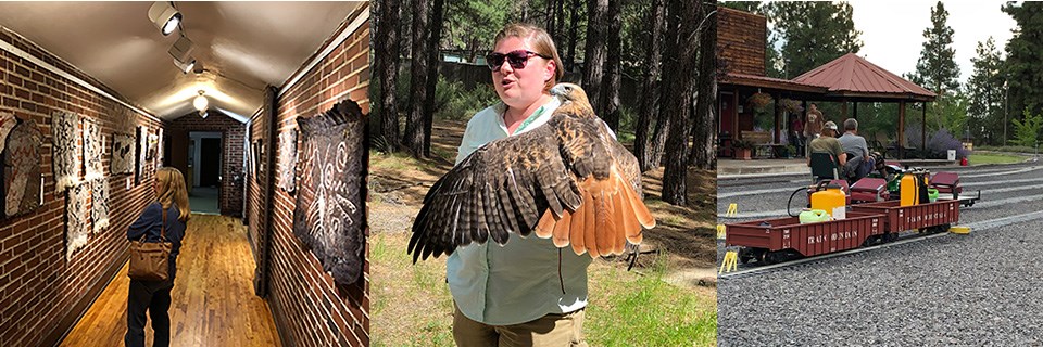 a collage of three images, first a woman in a hallway looks at fiber art on wall, second a woman holds a red-tailed hawk, 7.5" gauge track and railroad cars