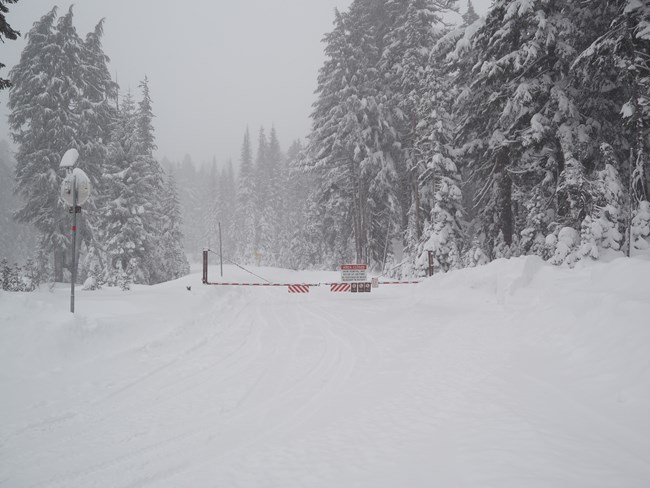 looking uphill in snow storm a metal arm gate with closure signs is swung across the road everything is white from snow