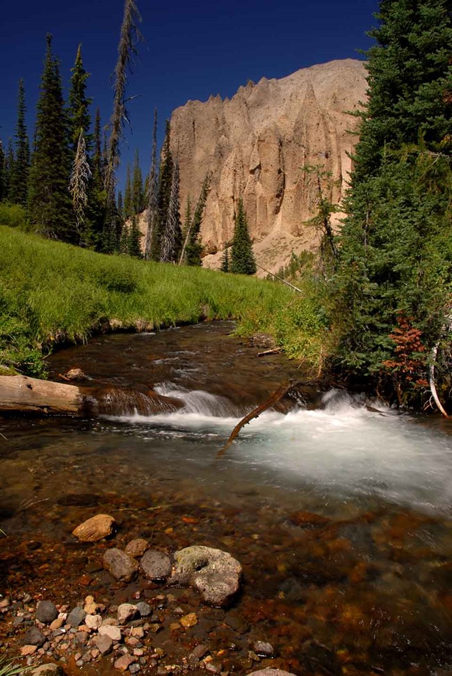 Annie Creek flows through Godfrey Glen Annie Creek flows through Godfrey Glen