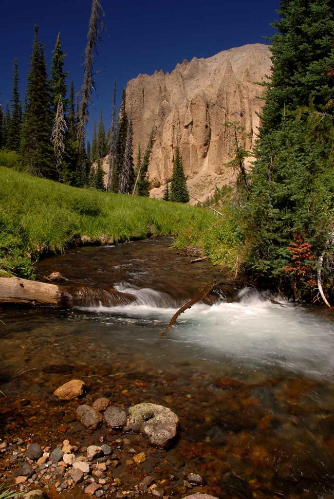 Annie Creek flows through Godfrey Glen