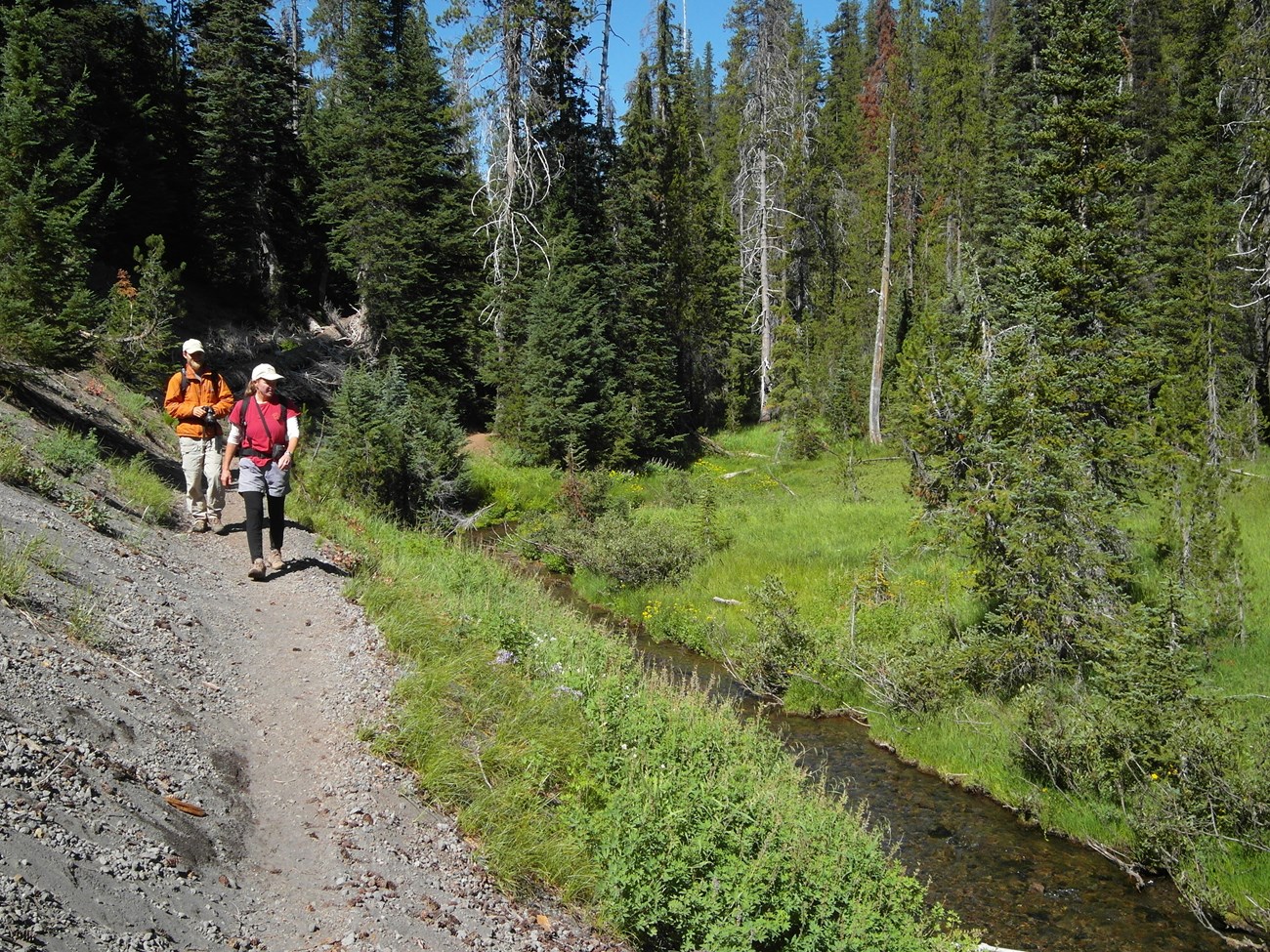 Hiking trails