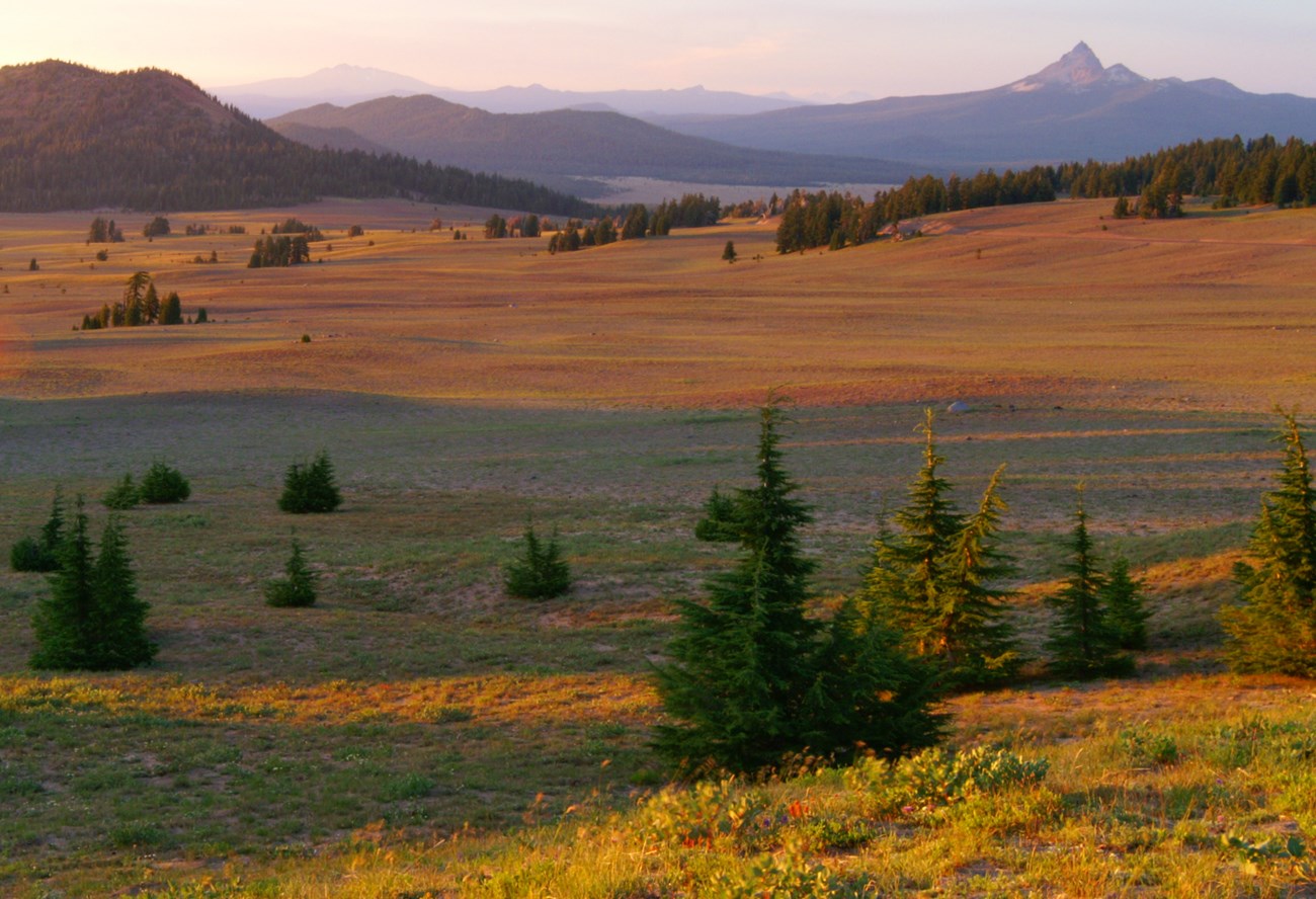 A wide-angle view across the slightly rolling landscape of a pumice desert soft light over autumn shades