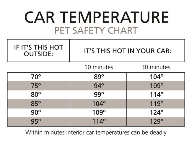 A pet safety chart shows outside temperatures versus inside a car temperatures.