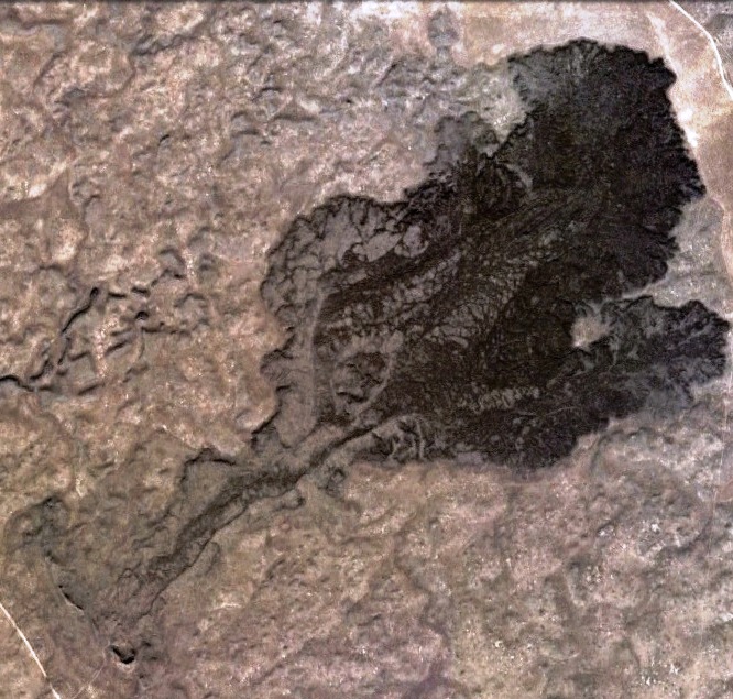 SRP Image 2