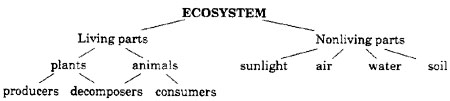 ecosystem parts