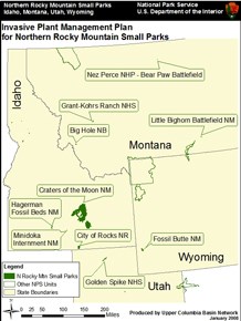 Invasive Plant Management Plan