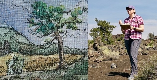 an illustration of a tree and vegetation and a photo of a woman with a pink shirt holding a sketchpad