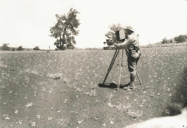 black and white photo of a man looking into an old camera on a tripod at the landscape
