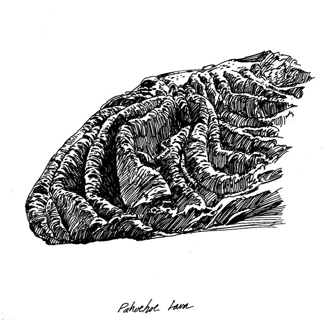 a black and white illustration of a lava rock with many thick folds like a curtain
