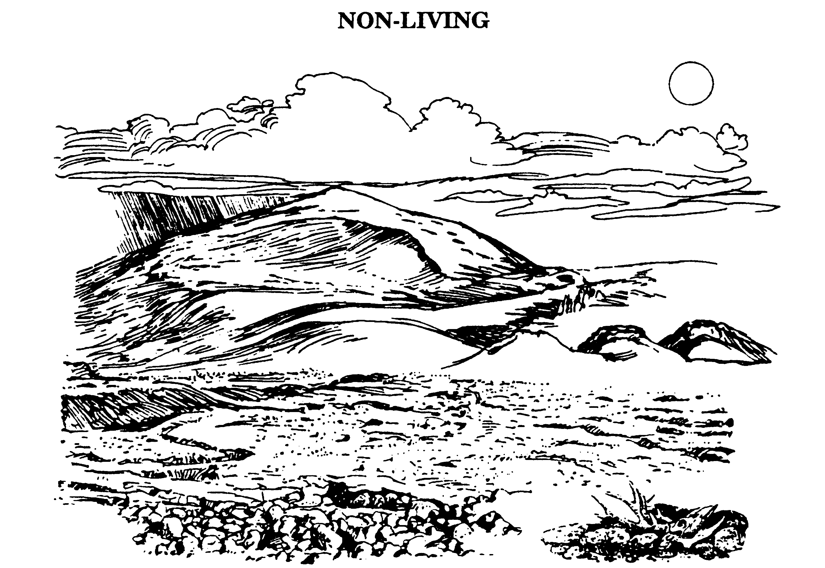 worksheet Producers Consumers And Decomposers Worksheet activity 4b craters of the moon national monument preserve for now just limit your discussion to plants and animals not producers consumers decomposers so they wont get confu