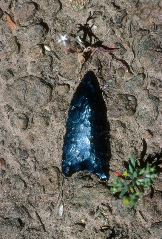 a projectile point made from glossy black rock