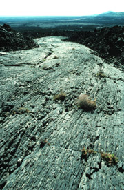 Nature and Science Nature and Science