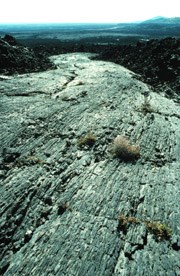 Nature and Science