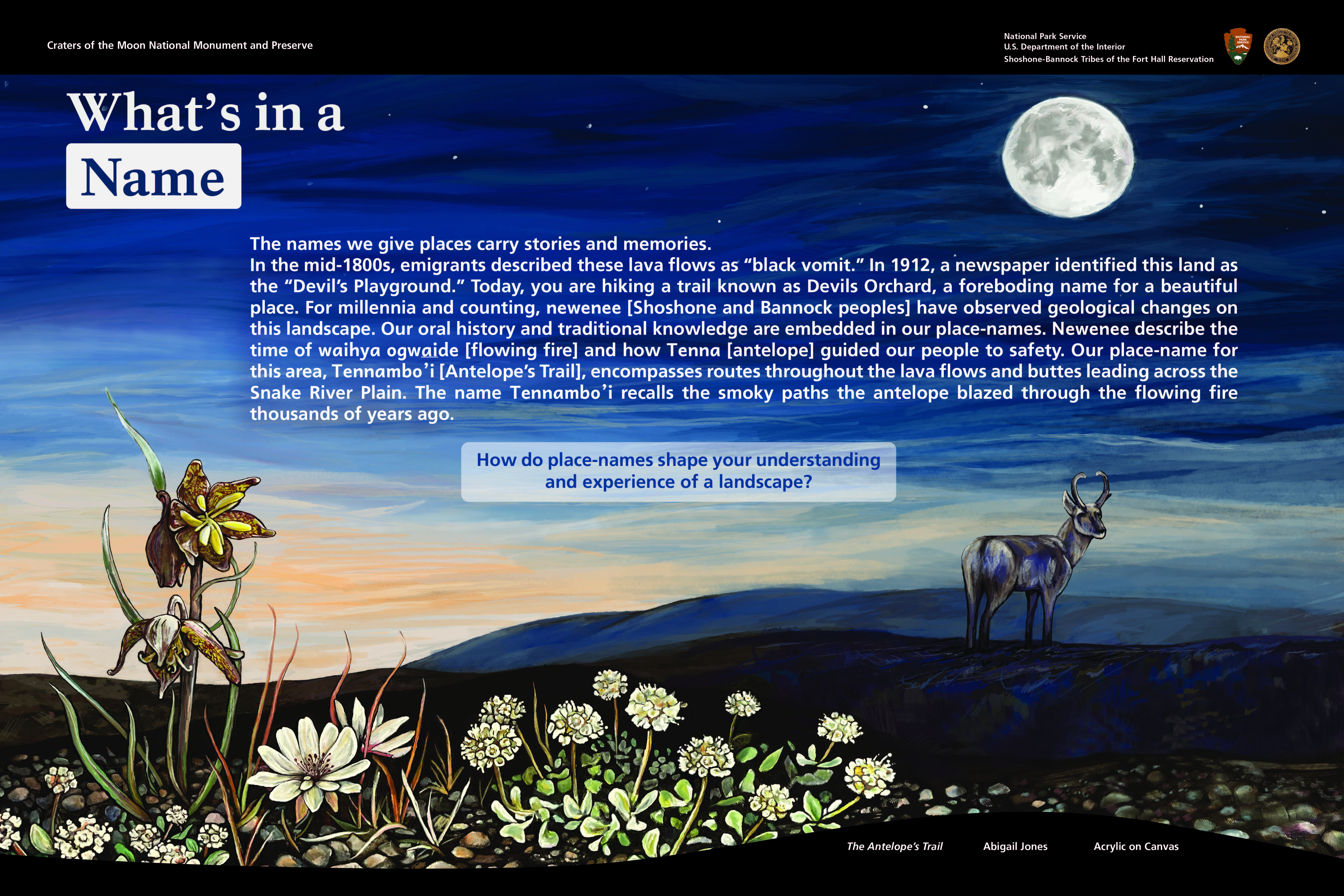 Tennambo'i Painting depicting a landscape at twilight with a full moon, various wildflowers in the foreground and a pronghorn in the background looking over its shoulder. Text is displayed in the center and righthand side of the image.