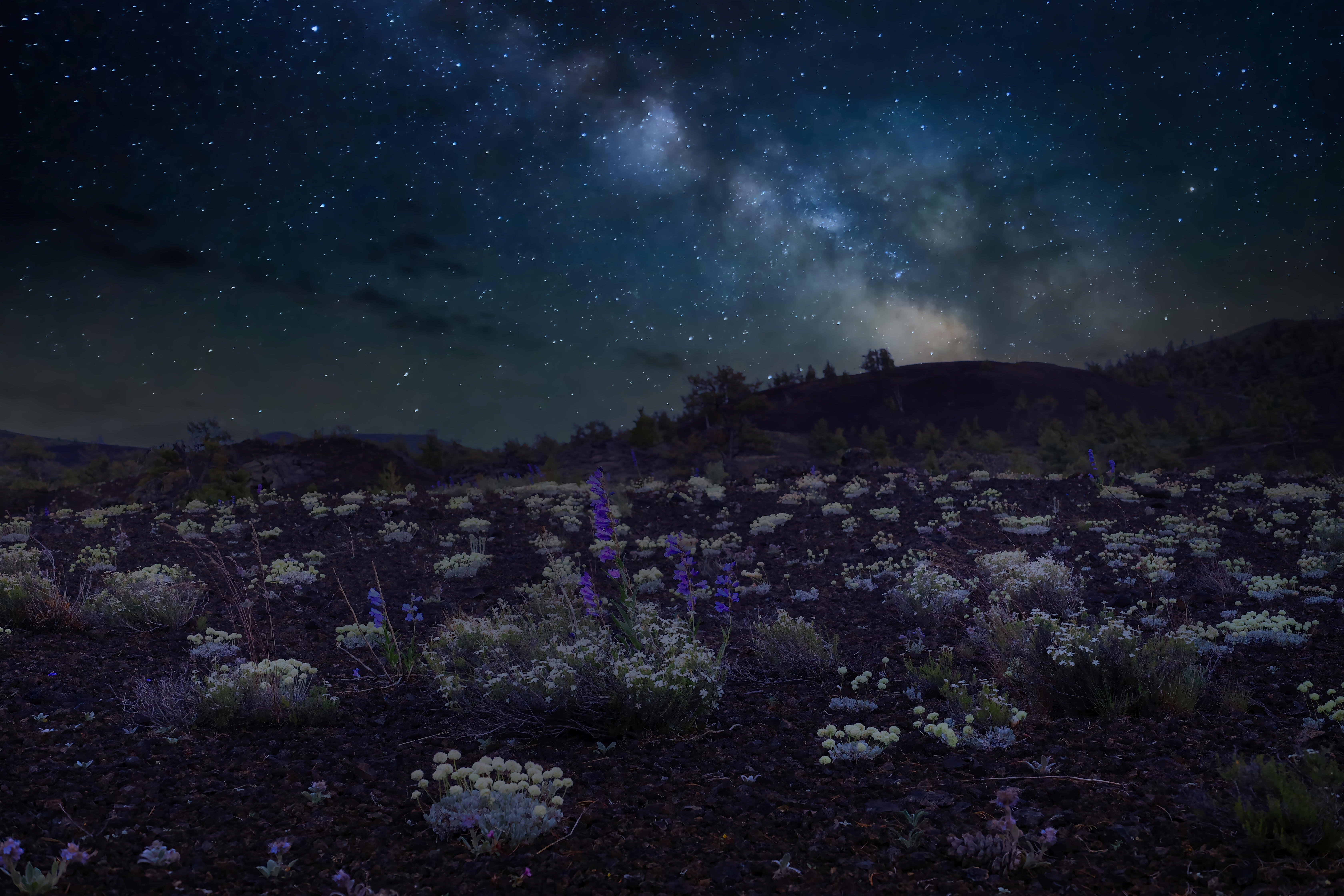 Evan N. _Volcanic Desire_ Night sky with milky way rises over a volcanic landscape with wildflowers.
