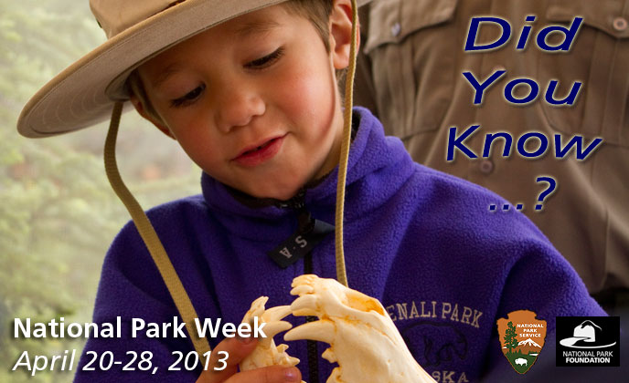 kid looking at grizzly skull