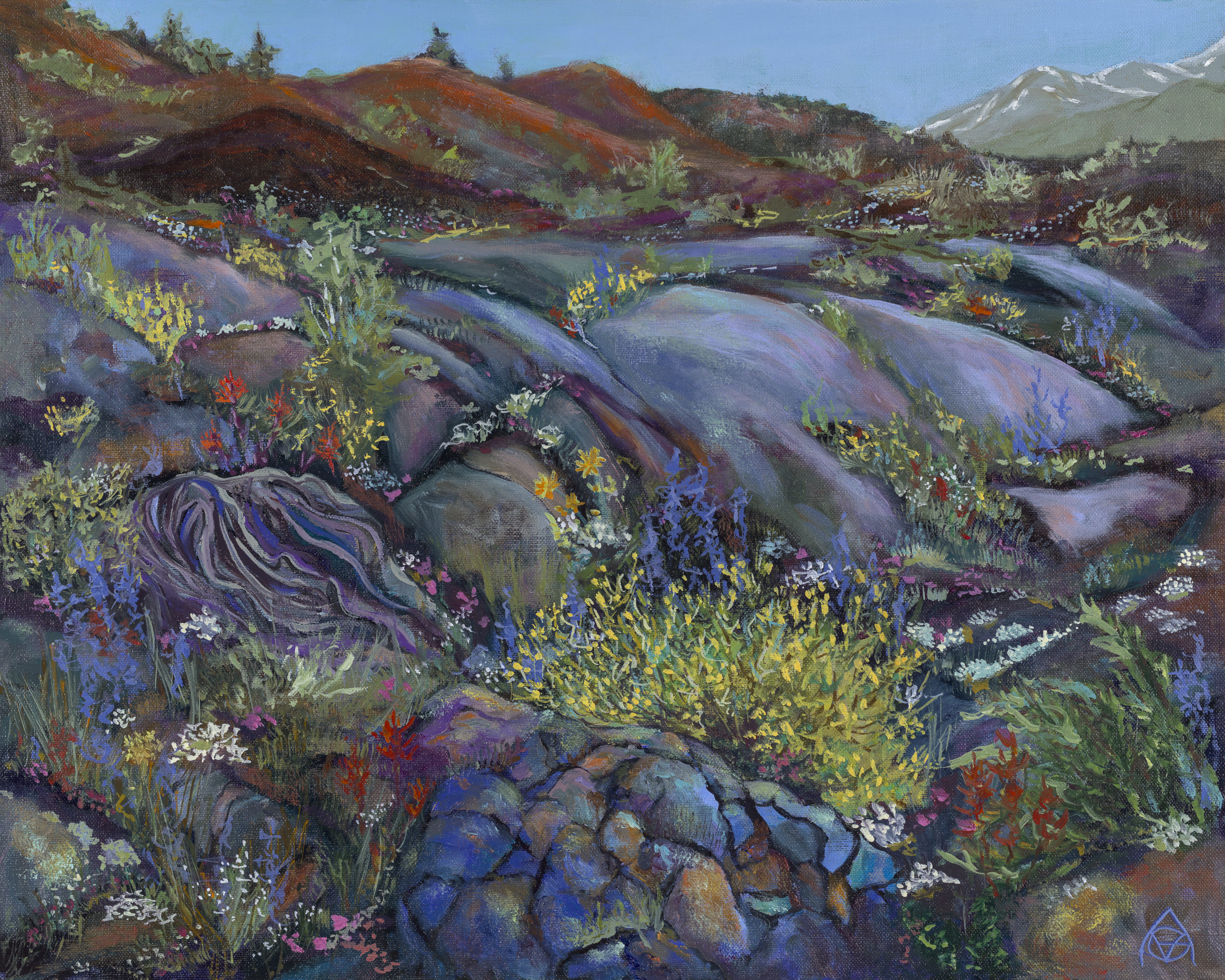 ムスタン 写真集　The Culture and Landscape of Lo Centennial Artists-in-Residence - Craters Of The Moon National