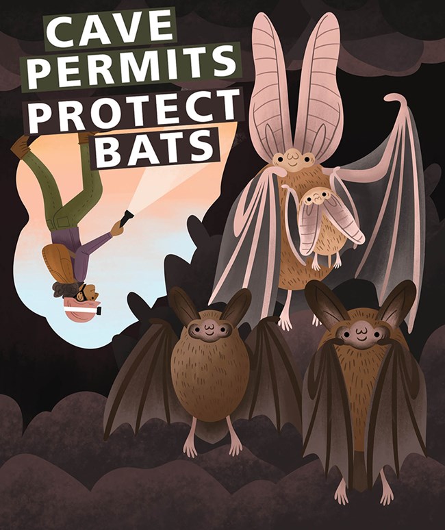A caver shines light on text that says Cave Permits Protects Bats