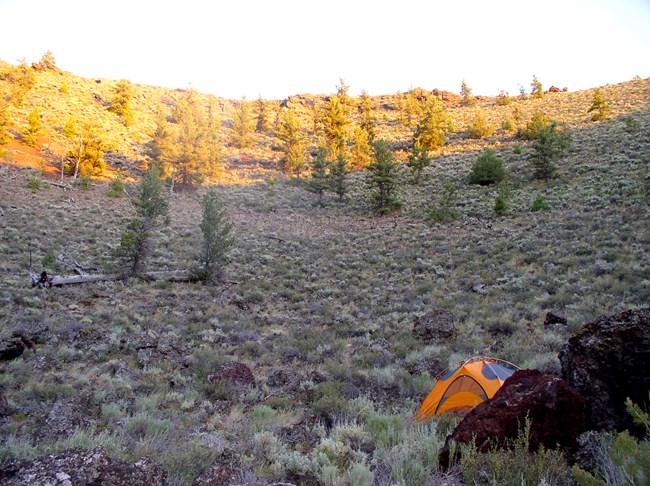 an orange tent behind a dark boulder against a gentle slope covered with sagebrush and a few pine trees at sunset
