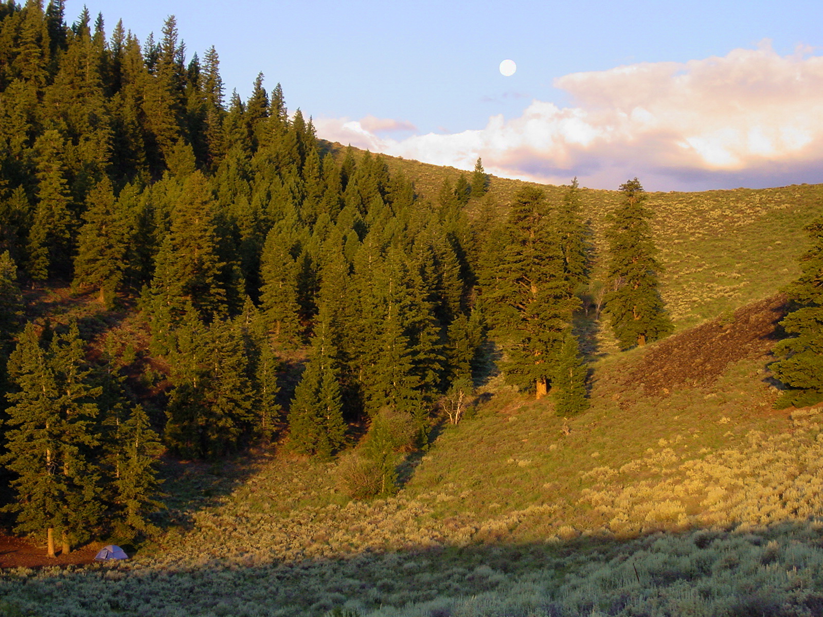 Group Campground