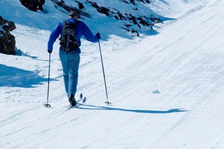skier skier