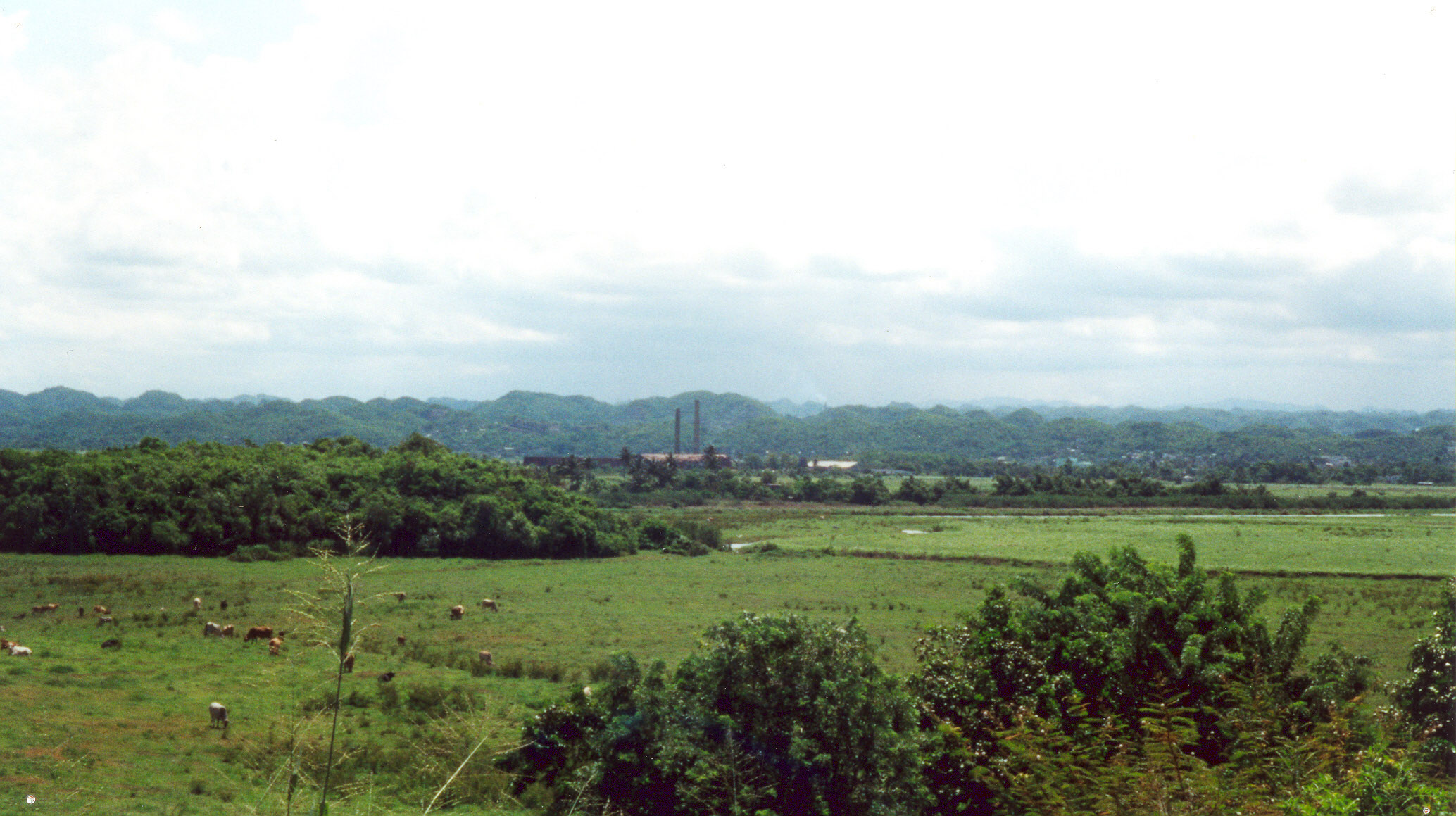 Figure 11: Green fields near Manatí
