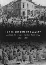 In the Shadow of Slavery cover