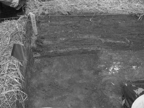 Figure 2: Detail of excavated area showing light and dark stripes of soil.
