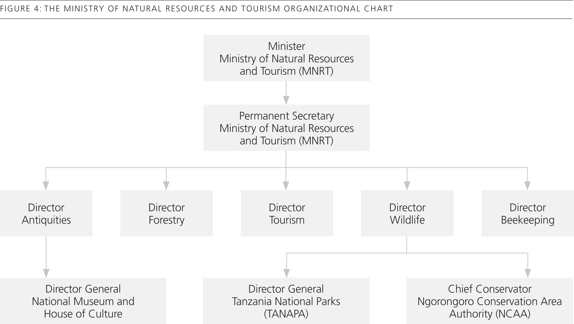 Figure 4: Organizational chart showing the relationship of the Department of Antiquities to other departments concerned with heritage resources.