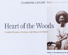 Heart of the Woods