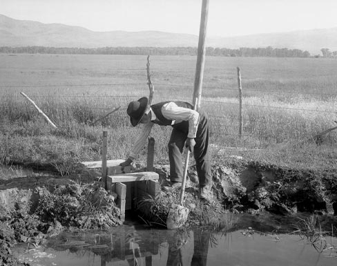 Figure 2: A man using at simple wooden lateral turnout on the ditch.