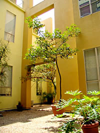 This new atrium does not meet the Standards for Rehabilitation. This open-air atrium that was cut out of the interior of a historic building does not meet the Standards. It is perceived as an outdoor garden space with no indication that it was part of a historic interior space. Photo: NPS files.