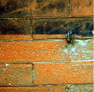 Sandblasting--a harsh abrasive method that is not appropriate for historic materals--has caused irreversible pitting damage to the lower portion of brick. Historic materials should always be cleaned using the gentlest means possible.  Photo: Courtesy, Illinois Historic Preservation Agency