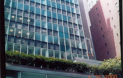 Windows with tinted glass in a steel and glass curtain wall on a building.