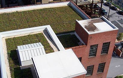 A planted – or green – roof on top of a red brick warehouse.