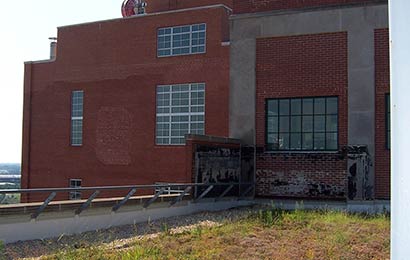 Close-up of the low scale plants in a green roof on a red brick warehouse, with a sign of a cartoon-faced man in the background.