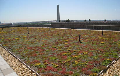 Green roof planted with low-growing plants, with a building parapet in the background and the Washington Monument in the far background.
