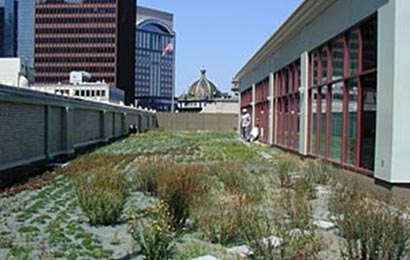 Looking down on a green roof on top of a commercial building in a city.