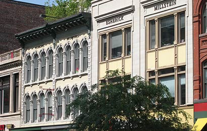 Trees growing out of the roofs of three-story historic buildings on a commercial street.