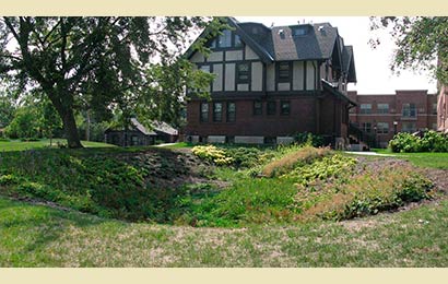 Rain garden planted with flowering plants in front of a Tudor style house.