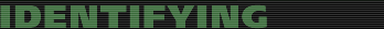 Identifying the Visual Character