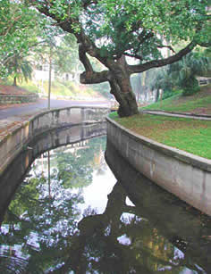 This is an image of Roser Park Historic District, St. Petersburg, Florida. The neighborhood, which developed primarily during the 1910s and 1920s, is oriented around Booker Creek, a major landscape feature that is characterized by narrow green space, steep banks and hilltop setting for residences giving the neighborhood a distinctive topography.  Photo: Courtesy, Urban Design and Preservation Division, City of St. Petersburg.