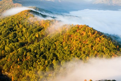 fog flows over mountains