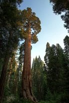 The American Treasures Frontier