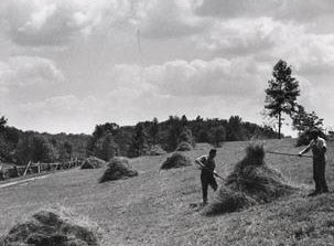 Appalachian Farming