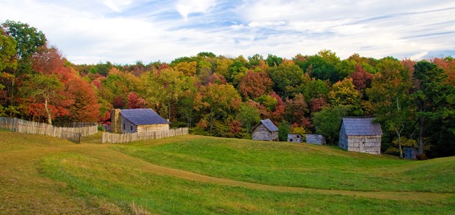 several buildings in an open field surrounded by trees