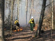 firefighters working to suppress wildland fire